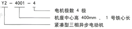 YR系列(H355-1000)高压YJTFKK3551-4-185KW三相异步电机西安西玛电机型号说明